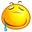 pp);17